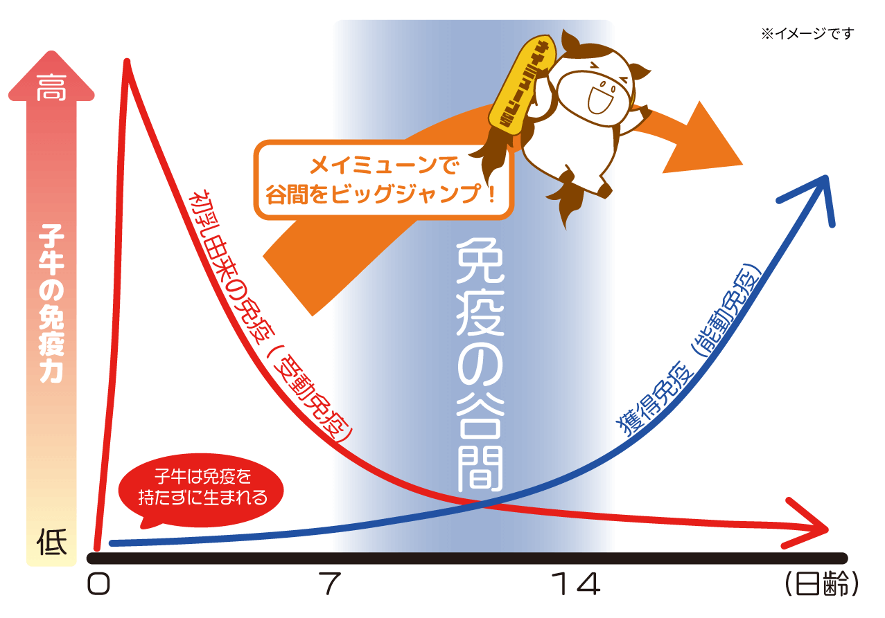 βカロチン＆核酸パワーで免疫発達応援