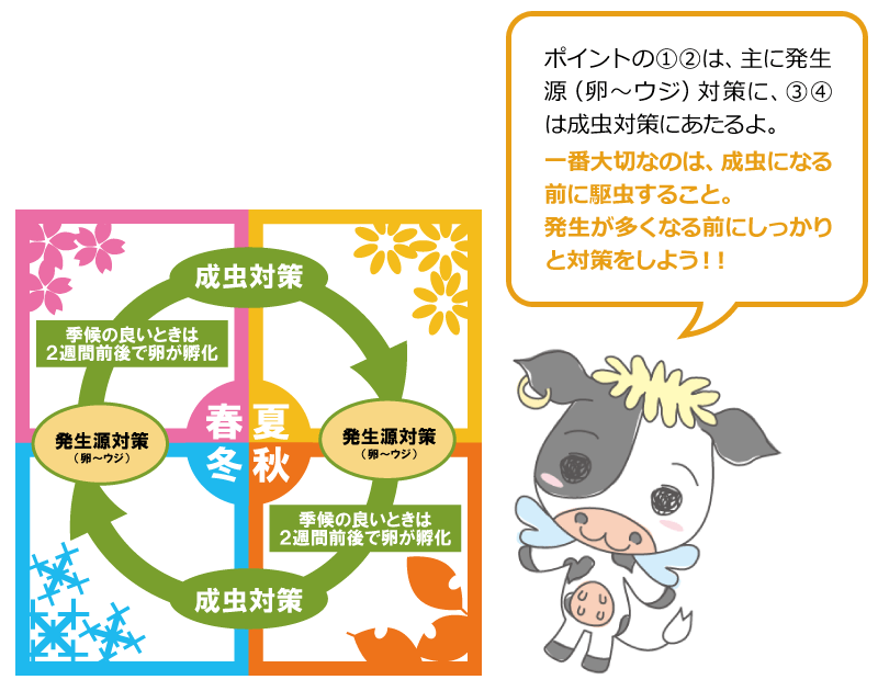 サシバエによる牛のストレスを減らそう 牛舎のハエ対策 明治飼糧豆知識