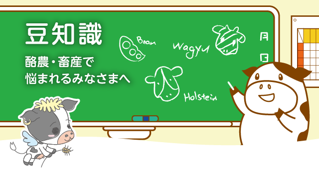 子牛の健康な成長のため、質の良い初乳を与えましょう！【明治