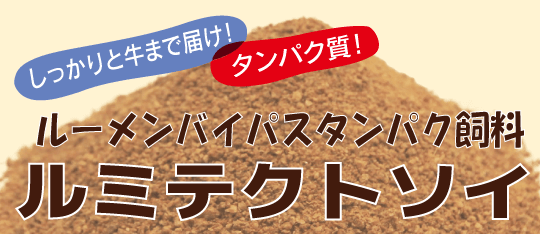 ルミテクトソイ
