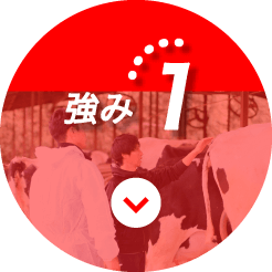 強み1