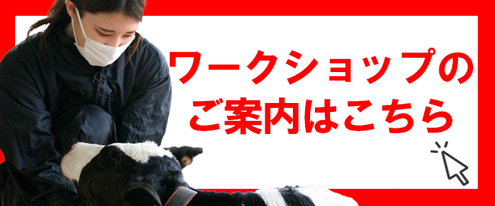ワークショップのご案内はこちら
