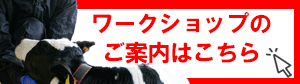 ワークショップのご案内はこちら